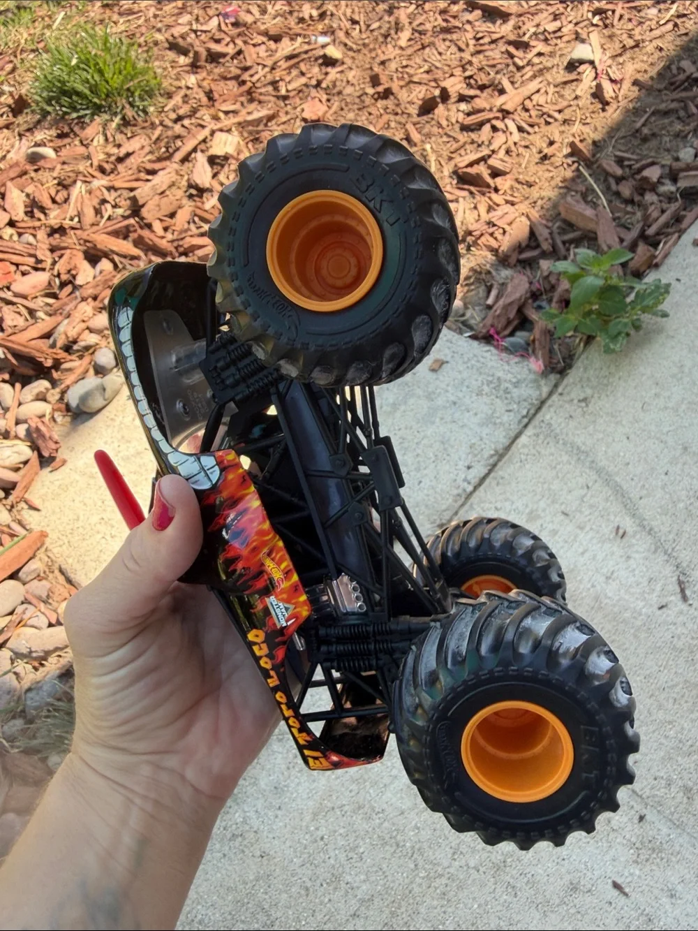 Monster Jam bold el